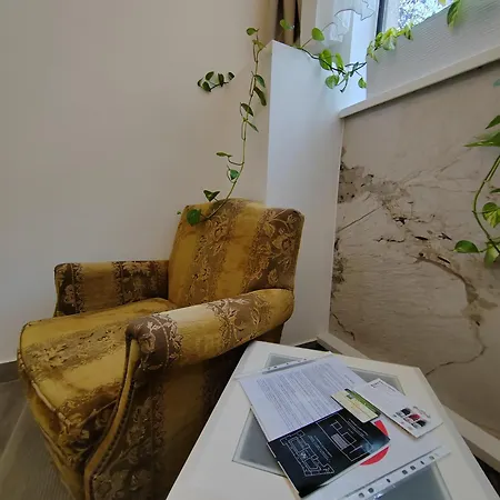 Apartmani, New Museum *