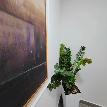 Apartmani, New Museum * Kula