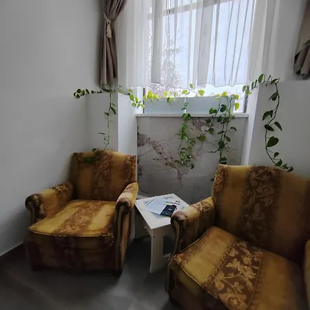 Apartmani, New Museum